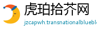 虎珀拾芥网